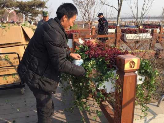 挂花是什么工作 