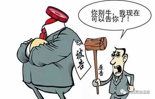 行政案件中负居多责任是 