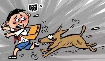 狗咬伤人狗主人有没有责任 