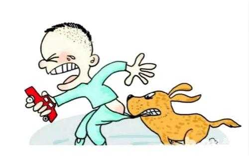 狗咬伤人狗主人有没有责任 