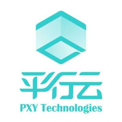 什么是平行公司 
