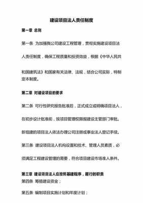 项目负责人法律责任 