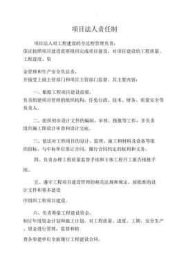 项目负责人法律责任 
