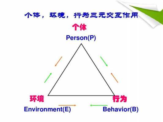 b行为是什么 