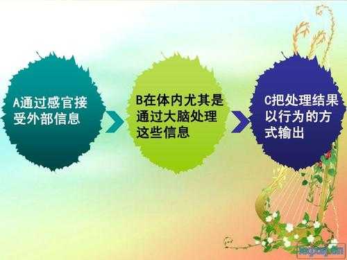 b行为是什么 