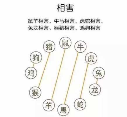 出租代表什么生肖 