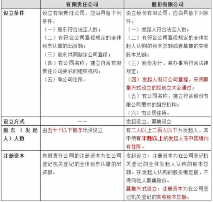 小贷公司股东有什么责任 