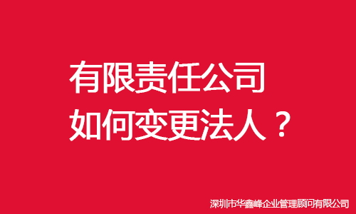 有限责任公司对法人的保障 