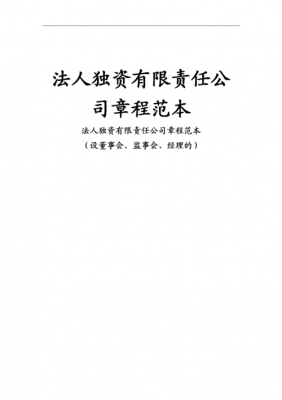 有限责任公司对法人的保障 