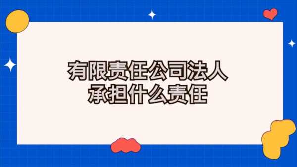 有限责任公司对法人的保障 