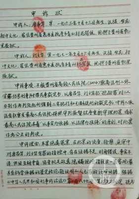 冤案申诉什么写 