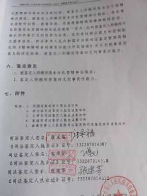 法院 精神病 刑事责任吗 