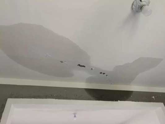 房屋漏水一般责任划分 