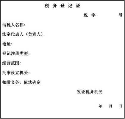 报税用什么证 