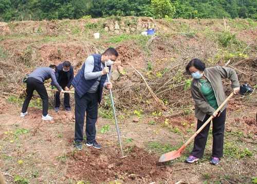 农村责任田种树有补贴吗 