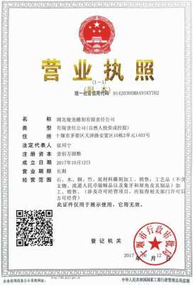 公司名称加有限责任 