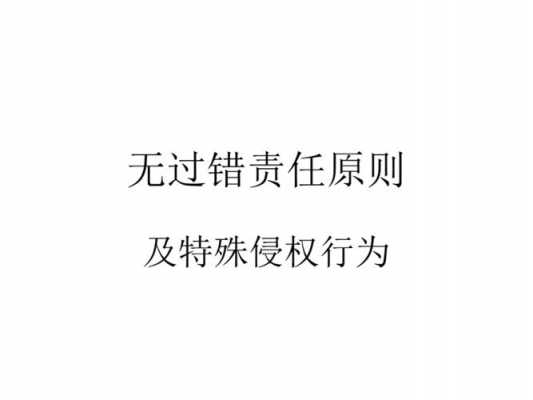 无过错责任原则的例子 