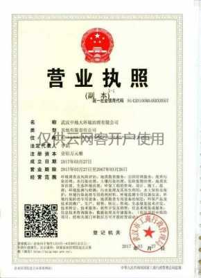 营业执照上谁担责任大 