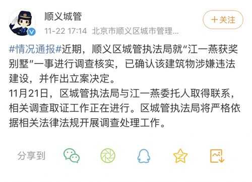 违建立案后果违建立案后果