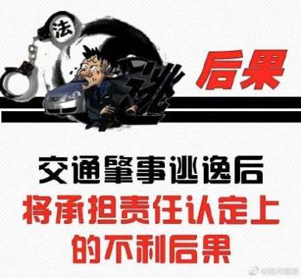 逃逸后果逃逸后果