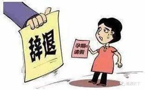 辞退孕妇后果辞退孕妇后果